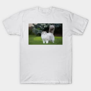 Fluffy Persian Cat Digital Painting T-Shirt